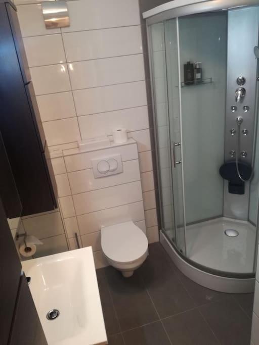 Casa Ferata - Holiday Home Vižinada المظهر الخارجي الصورة